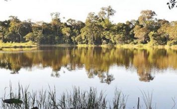 Discuten reglamentación de la Ley de Áreas Silvestres Protegidas