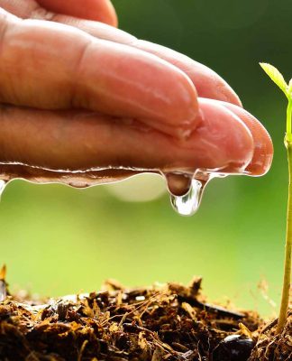 VENCER EL TEMOR AL FRACASO