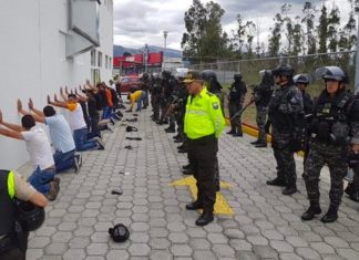 DESAPARECIDOS FORZOSOS EN VIDA