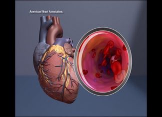 LA TEMPORADA FESTIVA DE INVIERNO CONLLEVA MÁS MUERTES POR ATAQUES CARDÍACOS QUE CUALQUIER OTRA ÉPOCA DEL AÑO