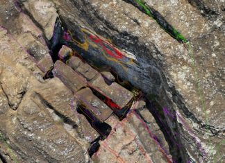 DRONES, FÍSICA Y RATAS