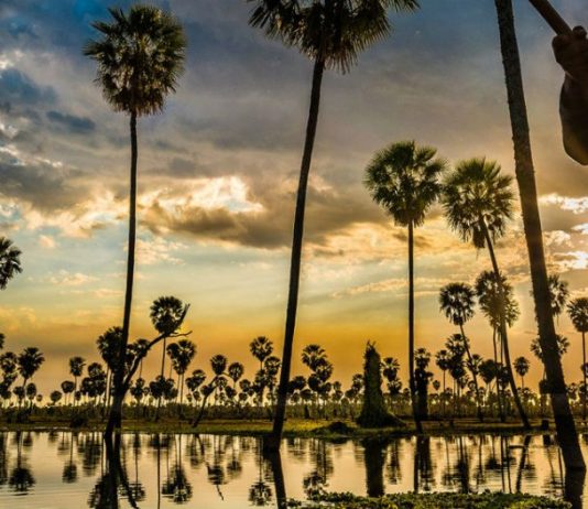 Entre Ríos y Santa Fe se sumaron al Corredor Ecoturístico del Litoral