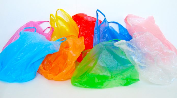 Congreso aprobó proyecto de Ley que prohíbe la entrega de bolsas plásticas en el comercio