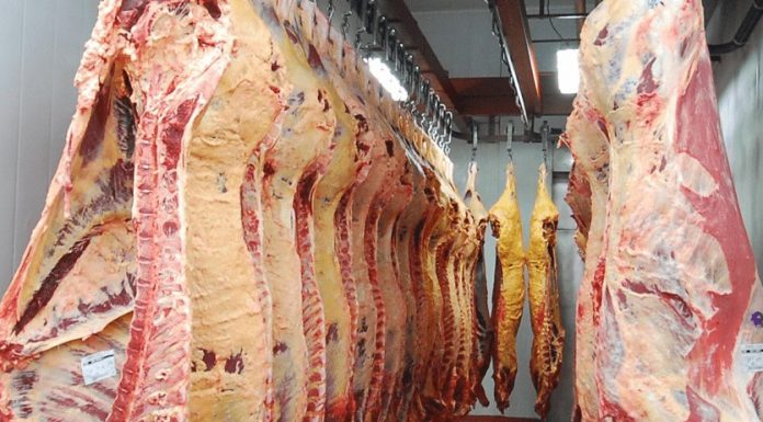 Argentina volverá a exportar carne bovina a los Estados Unidos