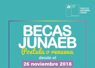 Junaeb abre proceso de renovación y postulación a Becas 2019 para Estudiantes de Educación Básica, Media y Superior