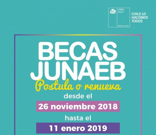 Junaeb abre proceso de renovación y postulación a Becas 2019 para Estudiantes de Educación Básica, Media y Superior