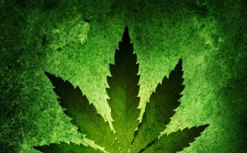 A PUNTO DE LEGALIZARSE EL USO DE LA MARIHUANA RECREACIONAL EN NUEVA JERSEY