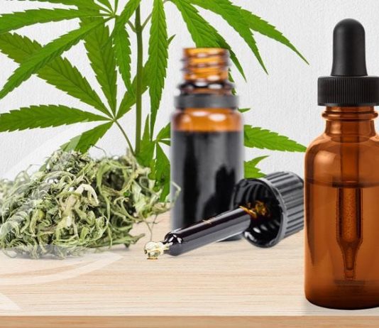 Uruguay dispone el primer laboratorio de América Latina que procesa cannabis medicinal