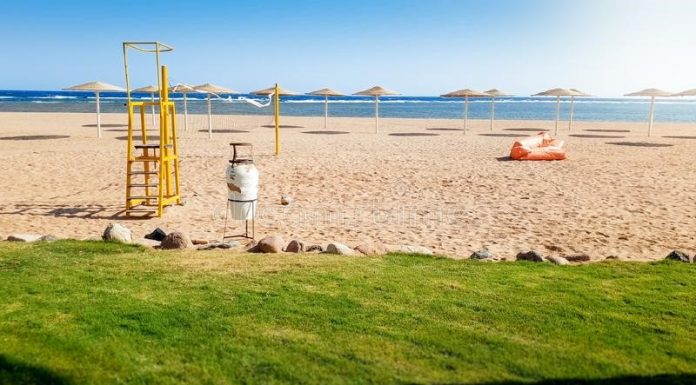 UN 87% MENOS DE LLEGADAS DE TURISTAS EN ENERO DE 2021, MIENTRAS LA OMT PIDE MAYOR COORDINACIÓN PARA REACTIVAR EL TURISMO