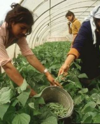 EL AMBIENTE RURAL Y SU MÍSTICA FEMENINA