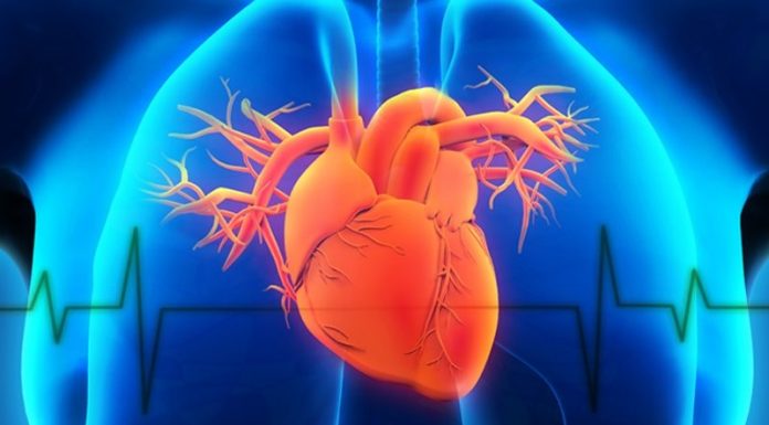 CORAZÓN SANO Y SEGURO DURANTE UNA CATÁSTROFE NATURAL