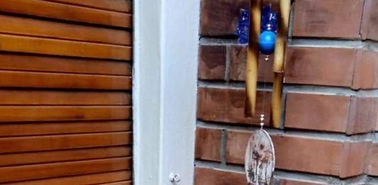 EL CHANGUITO DE COMPRAS DE MAMÁ, 25 AÑOS DESPUÉS