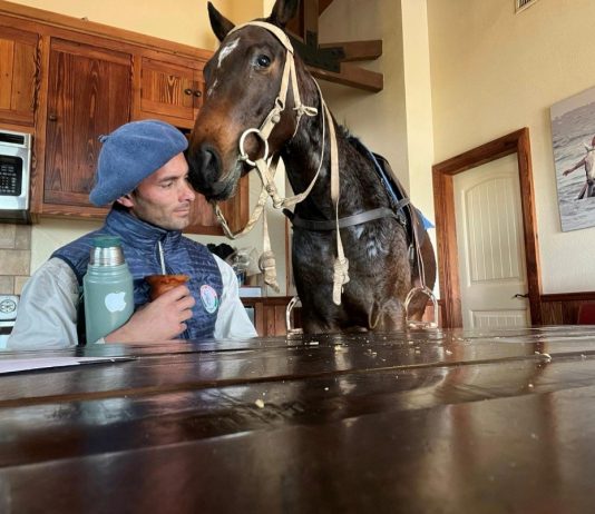 UN GAUCHO EN LA CAPITAL COWBOY