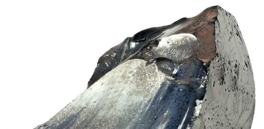 SELENIO: ¿BUENO O MALO?