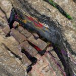 DRONES, FÍSICA Y RATAS