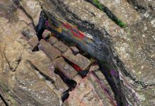 DRONES, FÍSICA Y RATAS