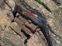 DRONES, FÍSICA Y RATAS