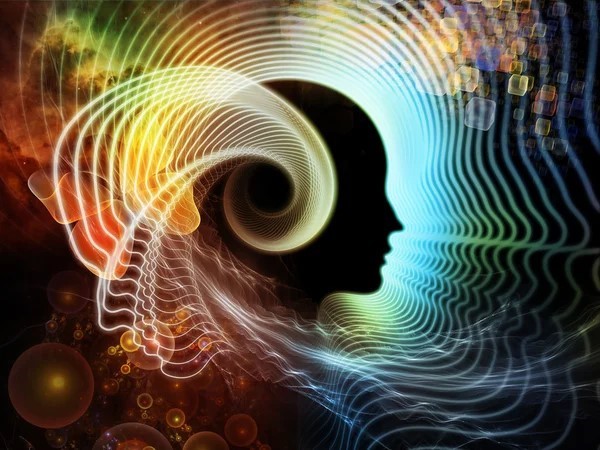 535-VIDA INTERIOR-FEATURED